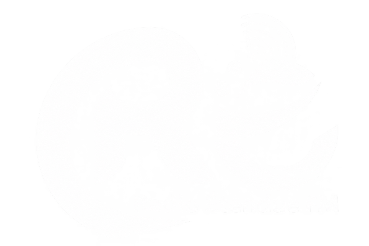 Logo Radio Étendue FM